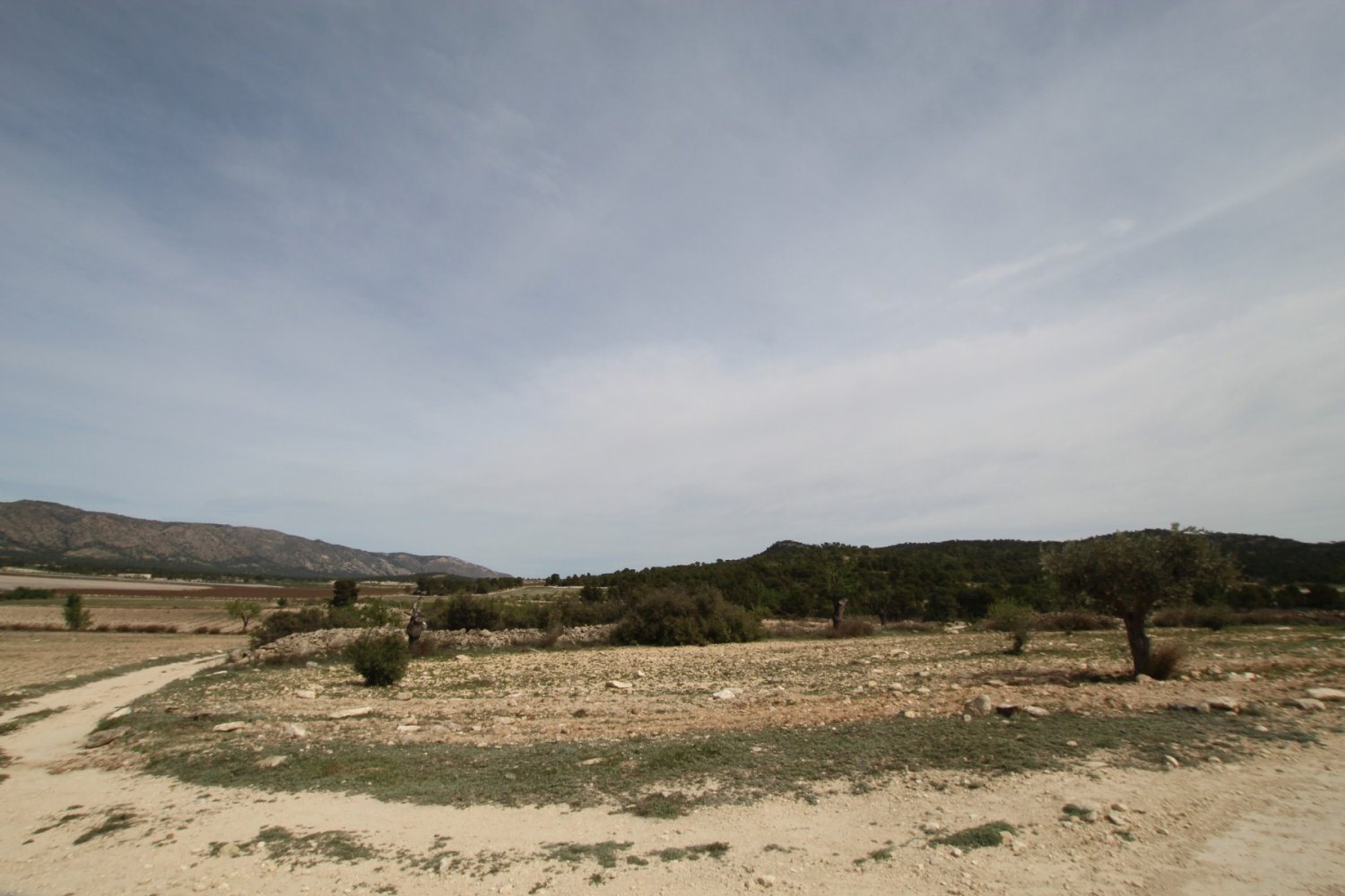 Finca a Monovar, Alicante, Spagna 1 camera da letto, 115 mq. N° 198947