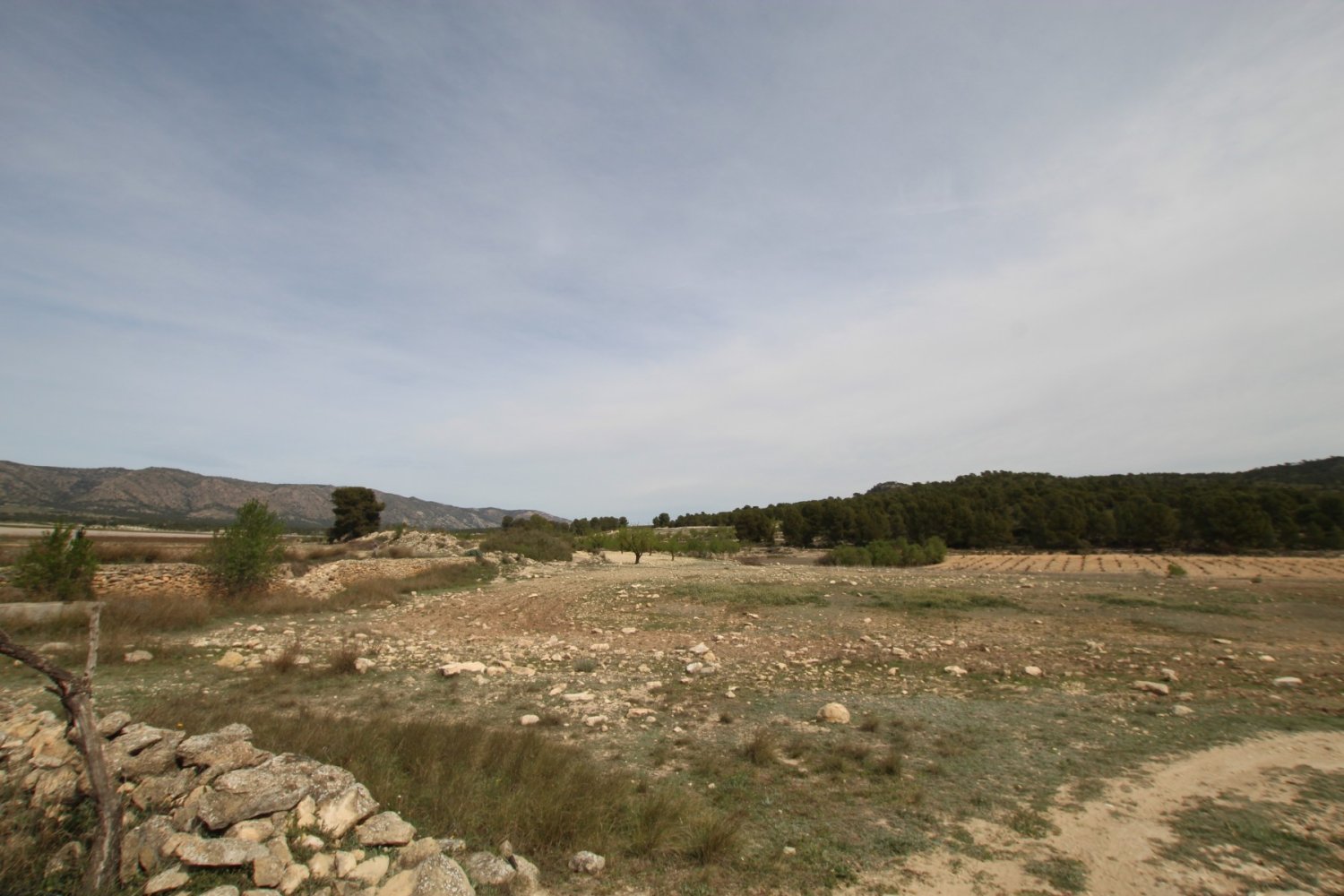 Finca a Monovar, Alicante, Spagna 1 camera da letto, 115 mq. N° 198947