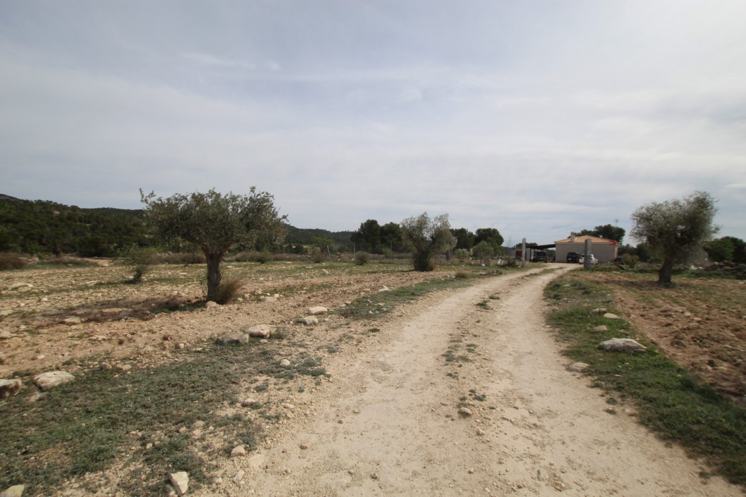 Finca a Monovar, Alicante, Spagna 1 camera da letto, 115 mq. N° 198947