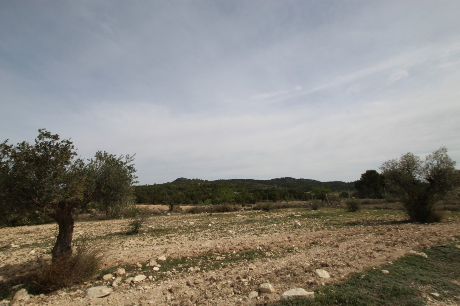 Finca a Monovar, Alicante, Spagna 1 camera da letto, 115 mq. N° 198947