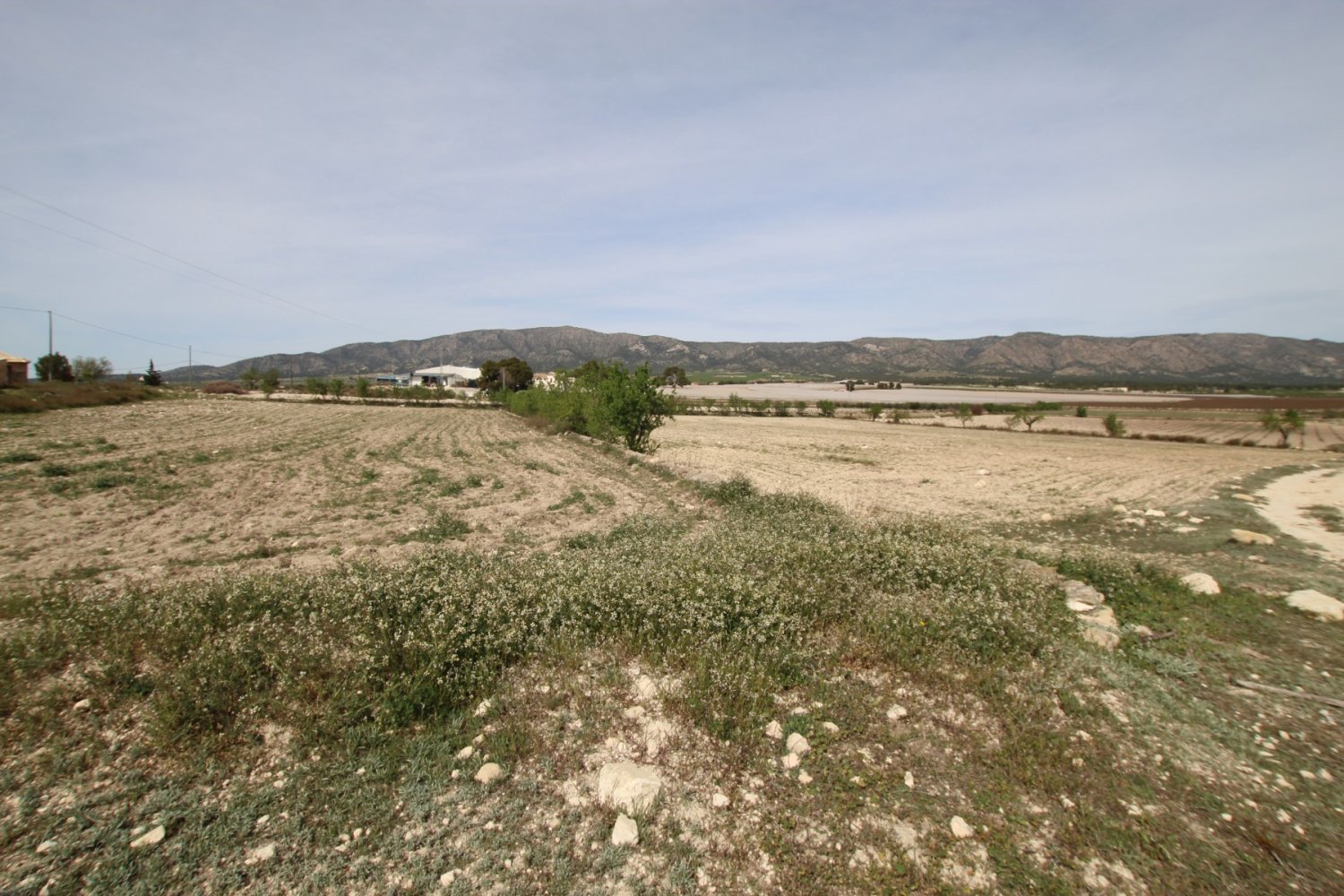 Finca a Monovar, Alicante, Spagna 1 camera da letto, 115 mq. N° 198947