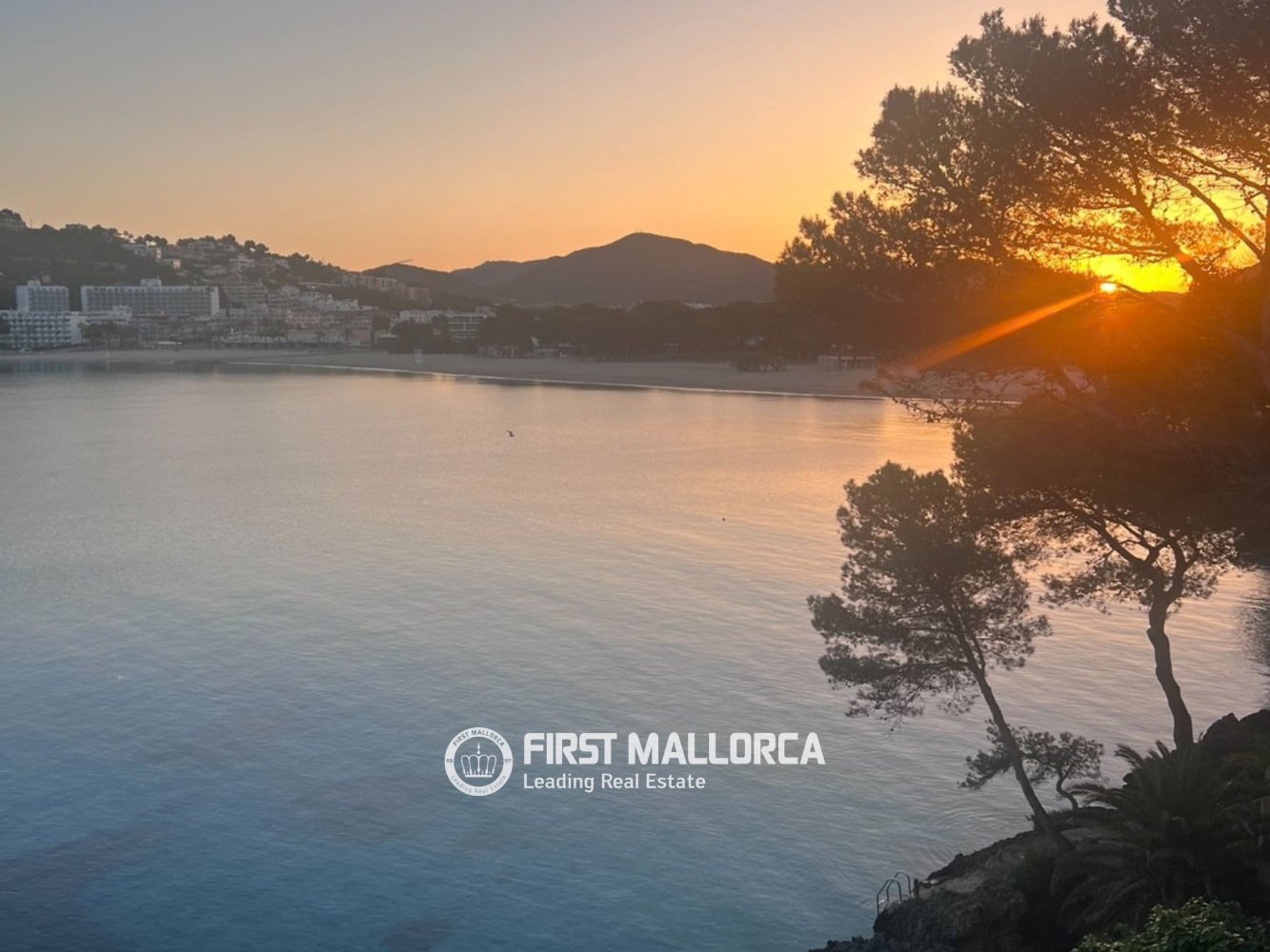 Apartment à Santa Ponsa, Mallorca, Espagne 3 chambres, 134 m2 No. 199221