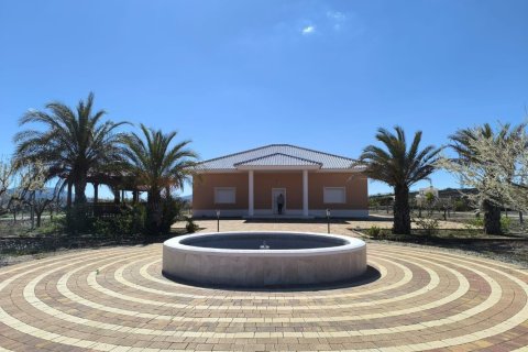 Villa en Pinoso, Alicante, España 4 dormitorios, 209 m2 No. 198926