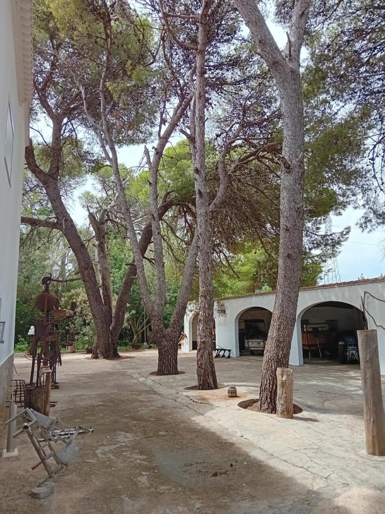 Huoneisto Alicante, Espanja 5 makuuhuonetta, 200 m2 No. 198559