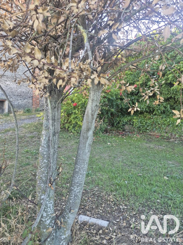 Parcela en San Andrés del Rabanedo, León, España 1310 m2 No. 198604