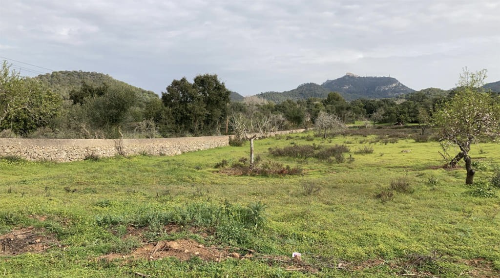 Land plot in Santanyi, Mallorca, Spain 350 sq.m. No. 198841