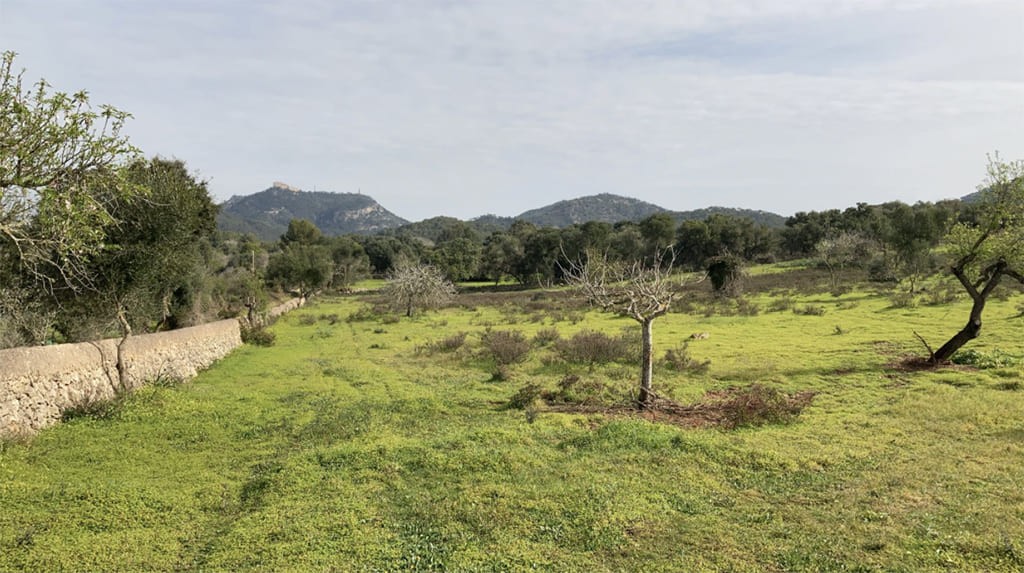Land plot in Santanyi, Mallorca, Spain 350 sq.m. No. 198841