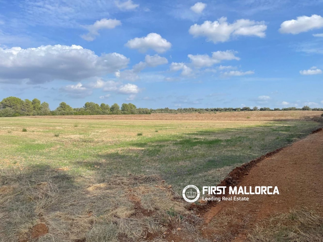 Land in Sencelles, Mallorca, Spanien 33878 m2 Nr. 198528