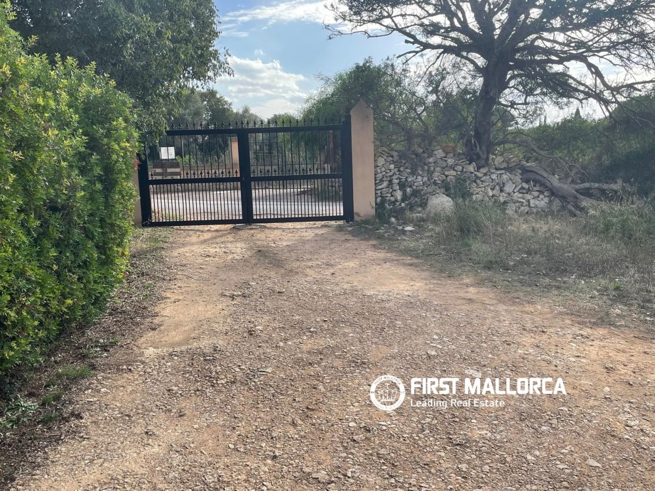 Land in Sencelles, Mallorca, Spanien 33878 m2 Nr. 198528