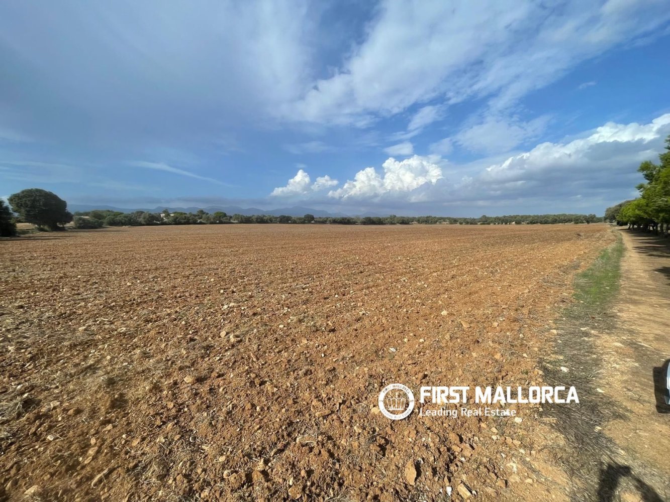 Land in Sencelles, Mallorca, Spanien 33878 m2 Nr. 198528