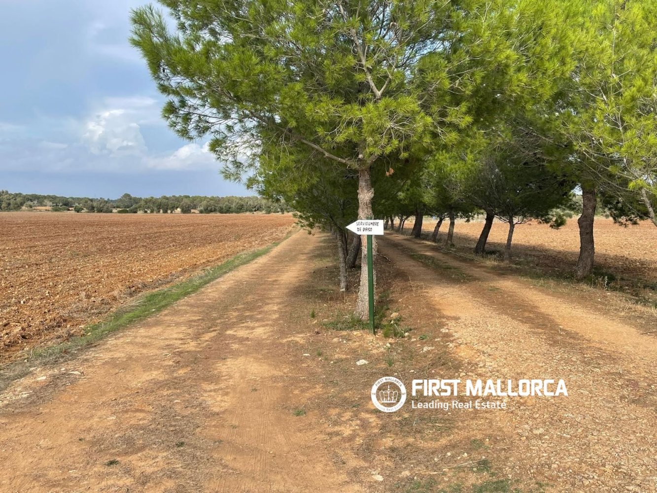 Land in Sencelles, Mallorca, Spanien 33878 m2 Nr. 198528