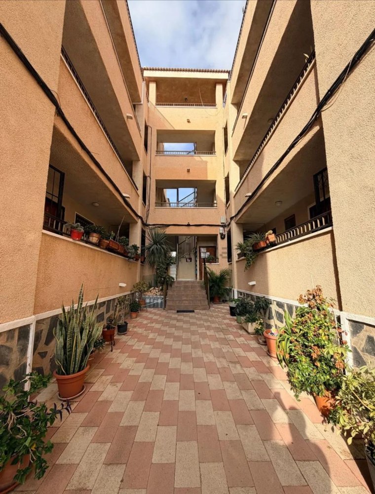 Apartament w Torrevieja, Alicante, Hiszpania 1 pokój, 26 mkw. nr 198998