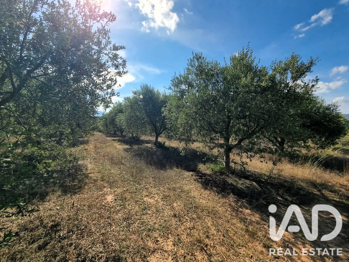 Land plot à Ginestar, Tarragona, Espagne 12275 m2 No. 198605