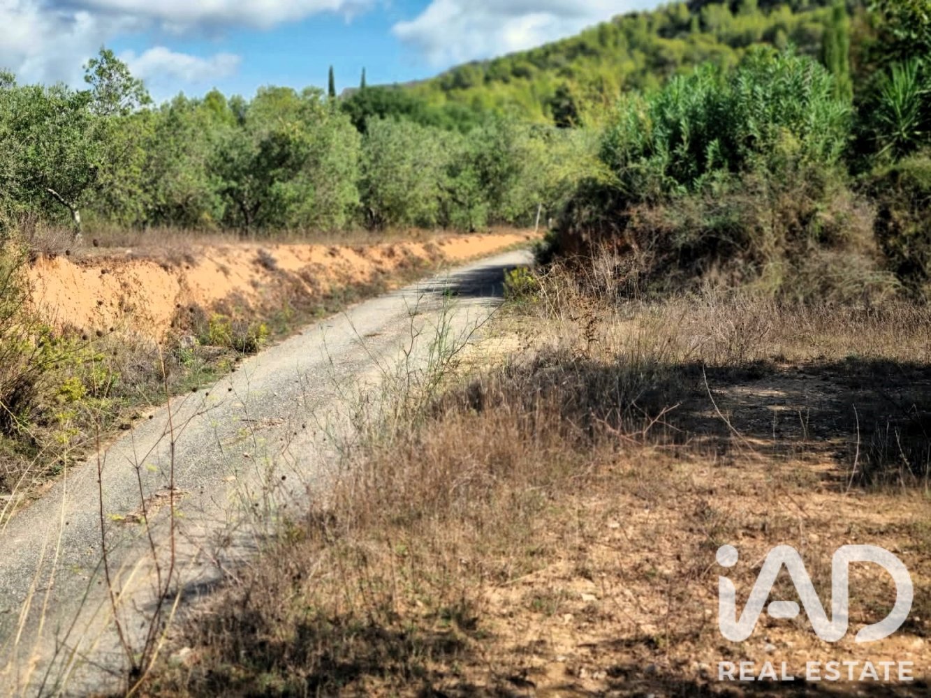 Land plot à Ginestar, Tarragona, Espagne 12275 m2 No. 198605
