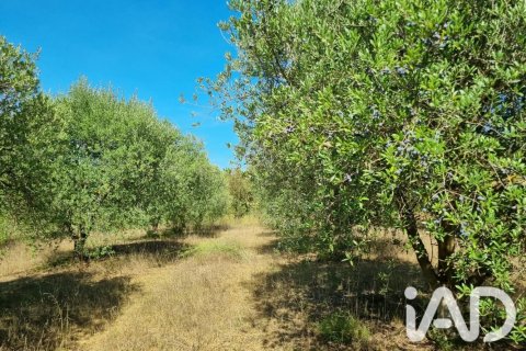 Land plot à Ginestar, Tarragona, Espagne 12275 m2 No. 198605