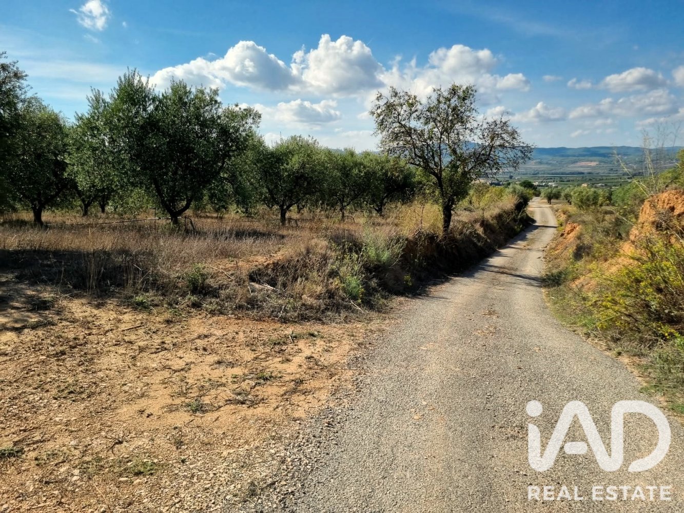 Land plot à Ginestar, Tarragona, Espagne 12275 m2 No. 198605