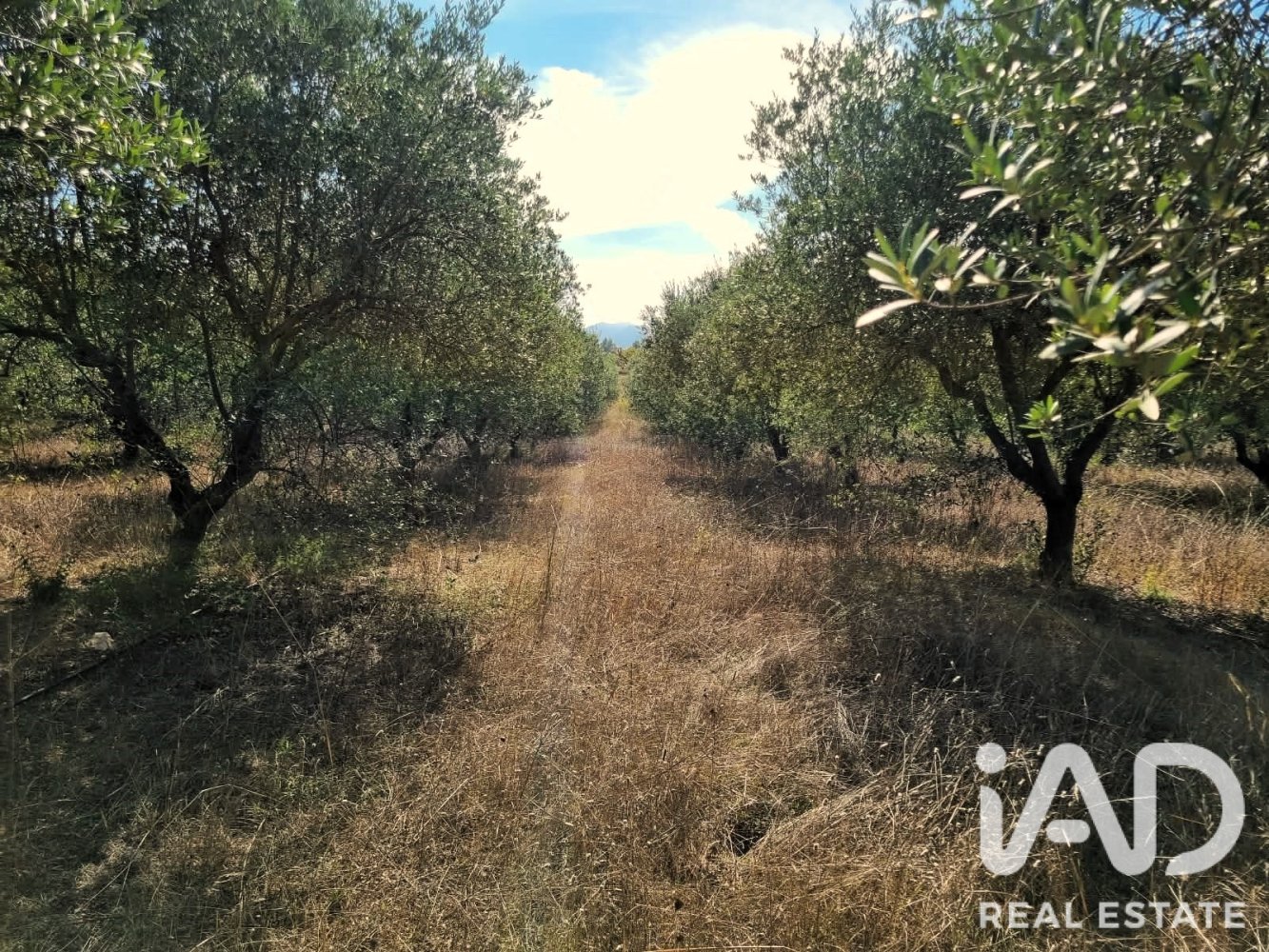 Land plot à Ginestar, Tarragona, Espagne 12275 m2 No. 198605