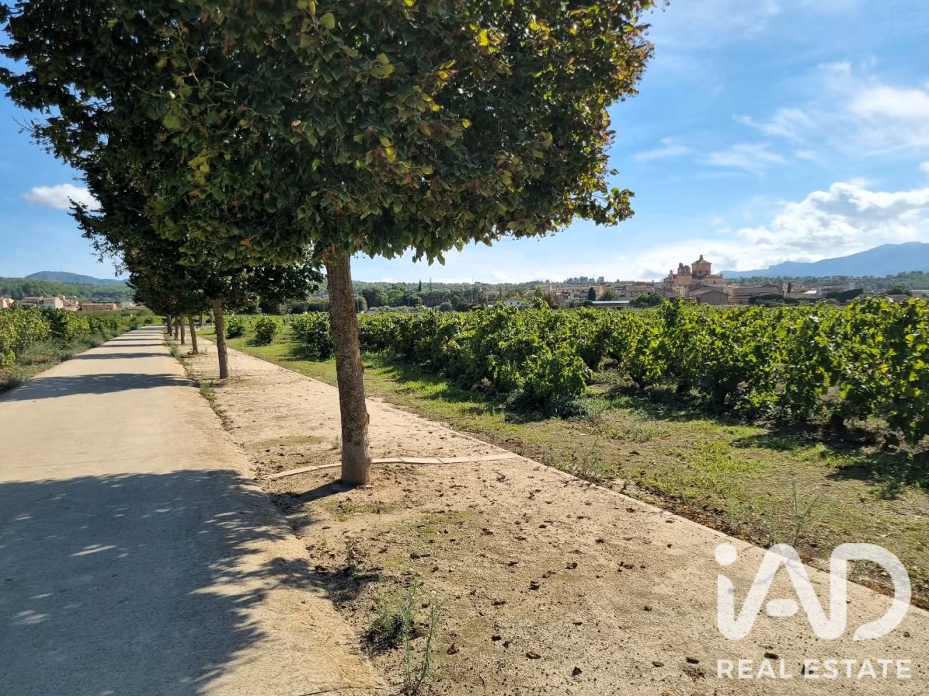 Land plot à Ginestar, Tarragona, Espagne 12275 m2 No. 198605