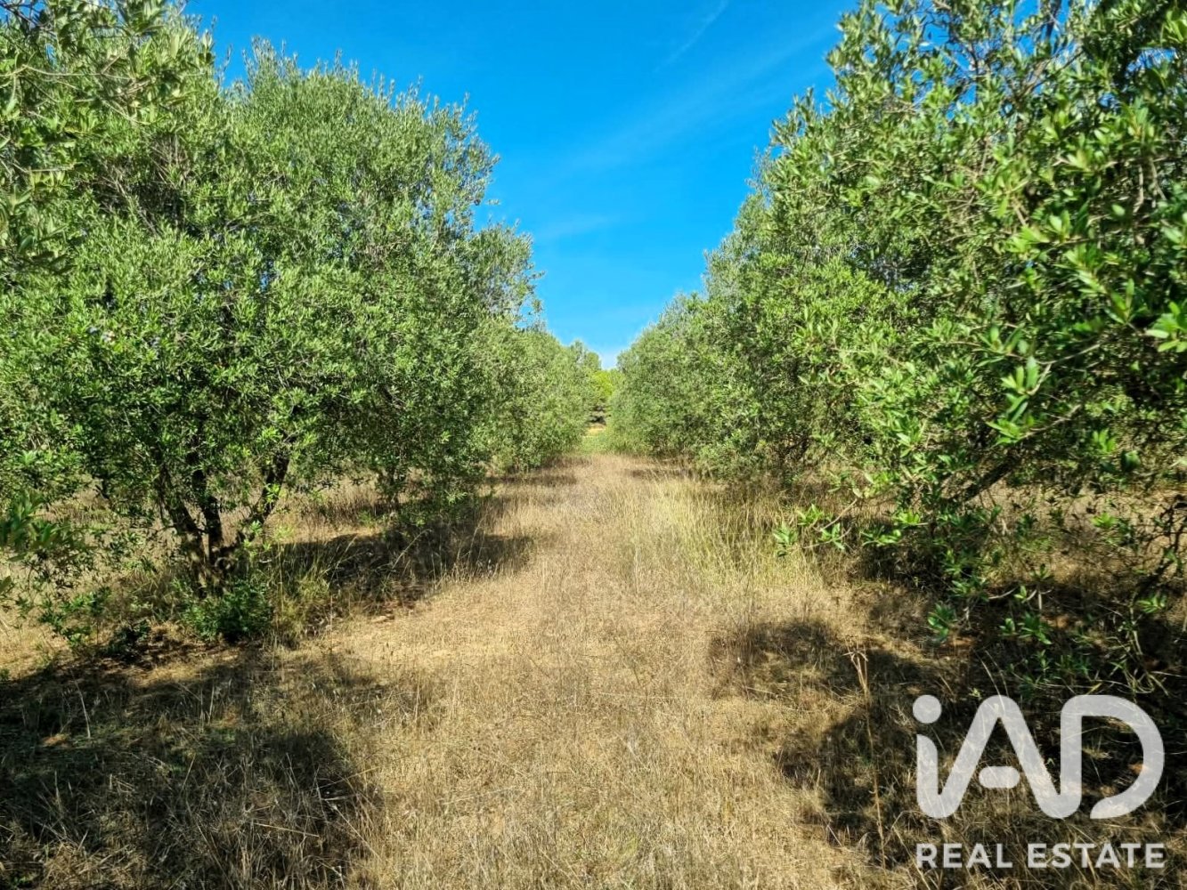 Land plot à Ginestar, Tarragona, Espagne 12275 m2 No. 198605
