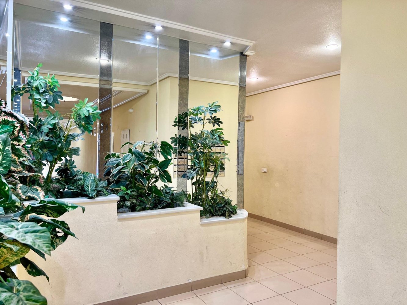 Apartment à Torrevieja, Alicante, Espagne 1 chambre, 82 m2 No. 197900