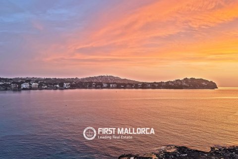 Apartment in Santa Ponsa, Mallorca, Spain 1 bedroom, 52 sq.m. No. 197928