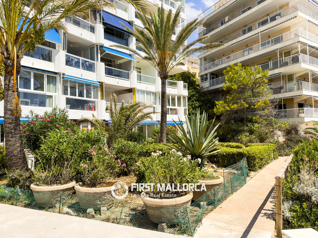 Apartment in Santa Ponsa, Mallorca, Spain 1 bedroom, 52 sq.m. No. 197928