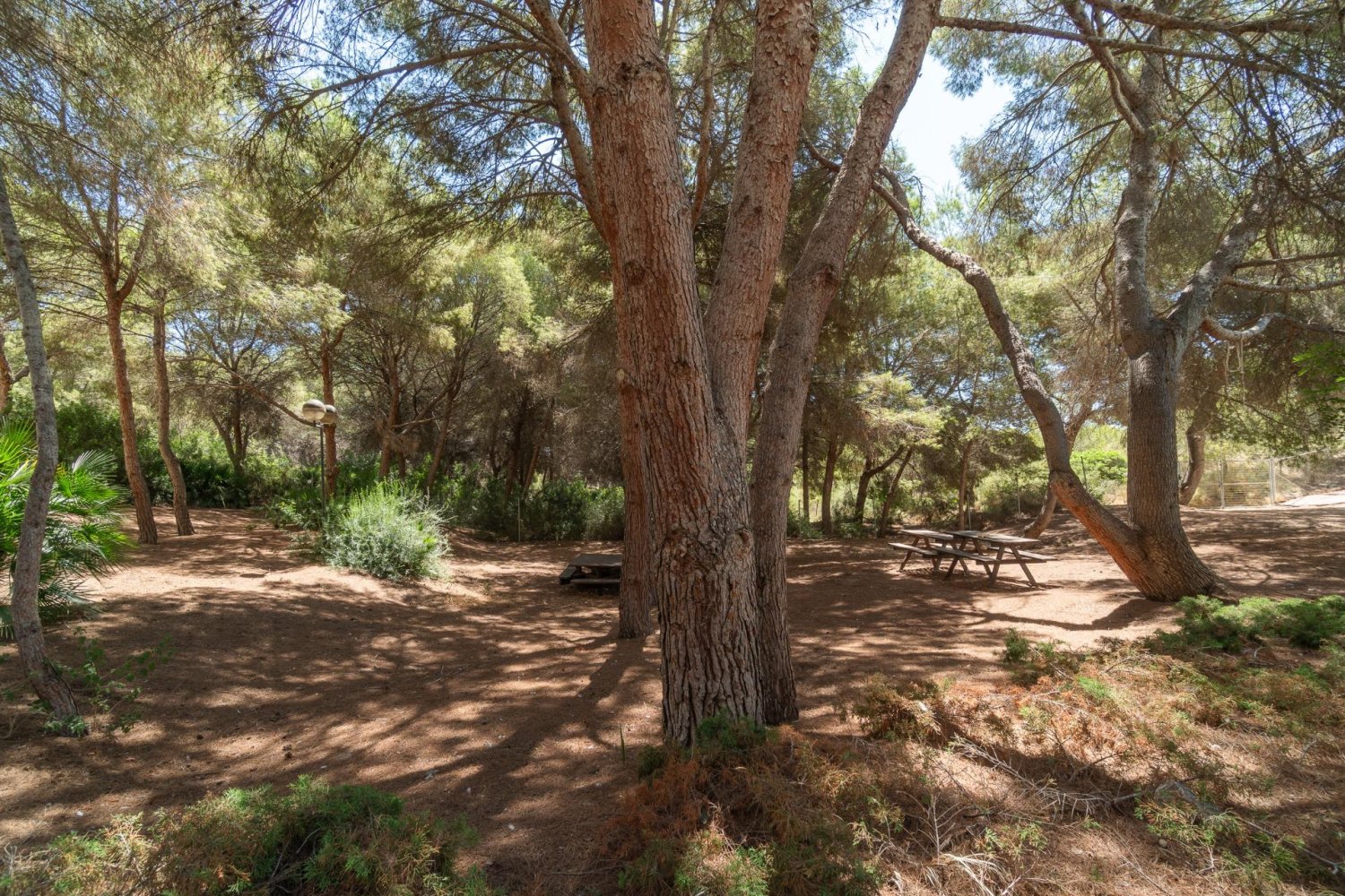 Apartamento en Dehesa De Campoamor, Alicante, España 2 dormitorios, 69 m2 No. 192019