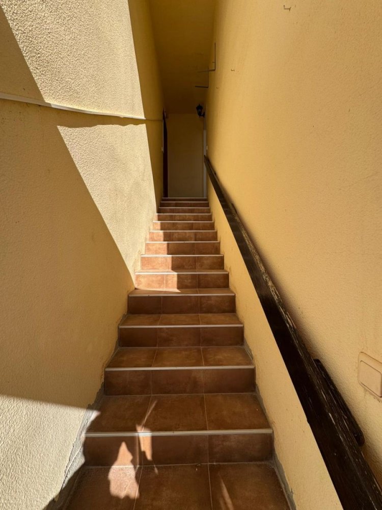 Bungalowi Torrevieja, Alicante, Espanja 65 m2 No. 199012