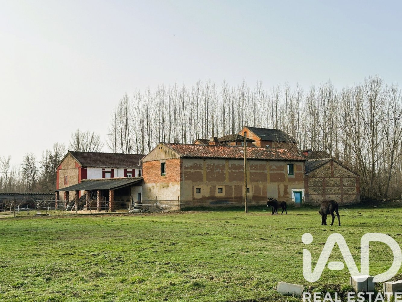 Дом в Сан Андрес дель Рабанедо, Леон, Испания 3 спальни, 600м2 №198727