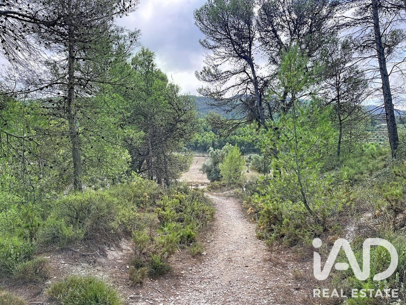 Tomt i Alcoy, Alicante, Spanien 2785000 kvm. Nr. 198598