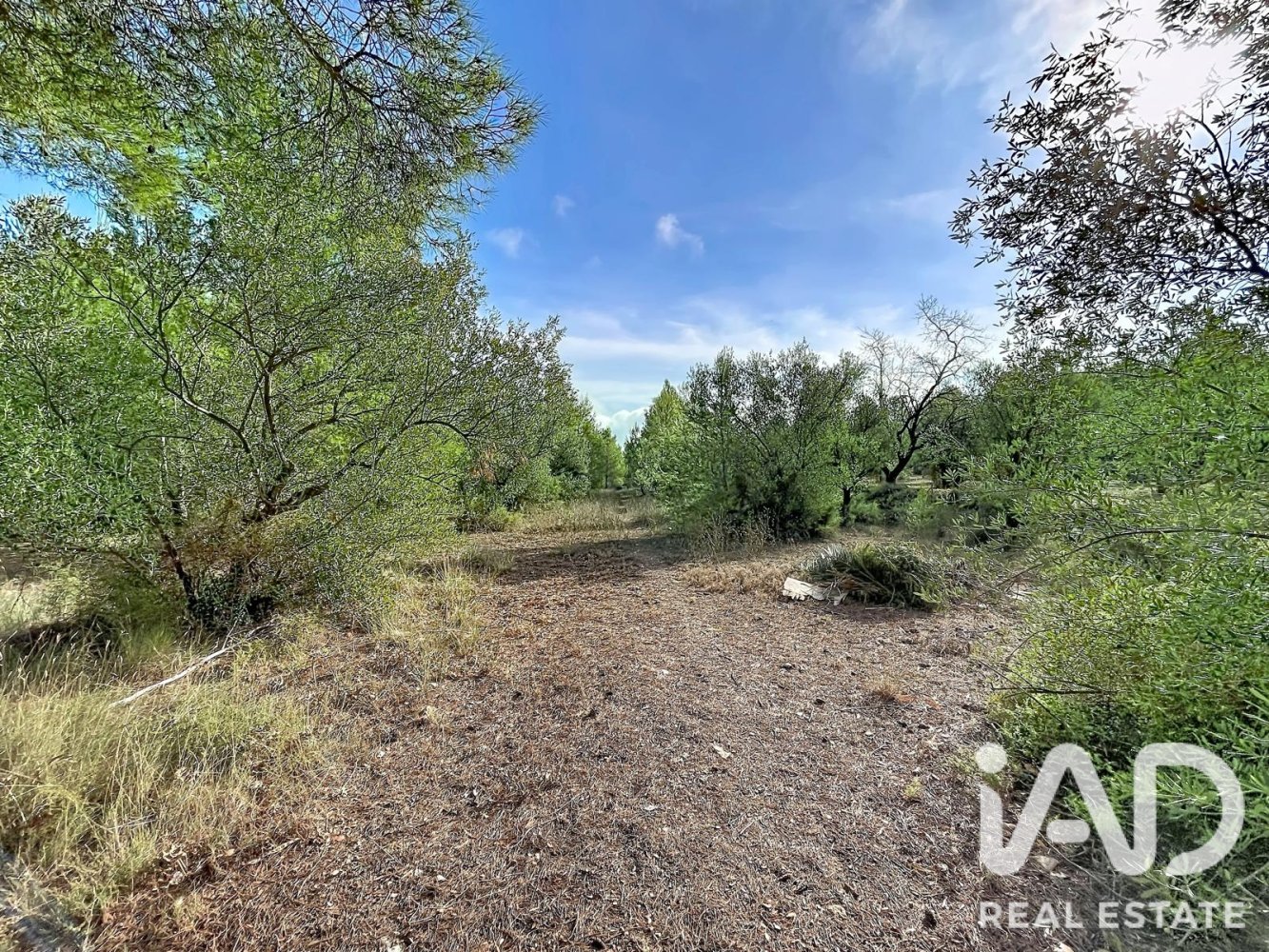 Tomt i Alcoy, Alicante, Spanien 2785000 kvm. Nr. 198598