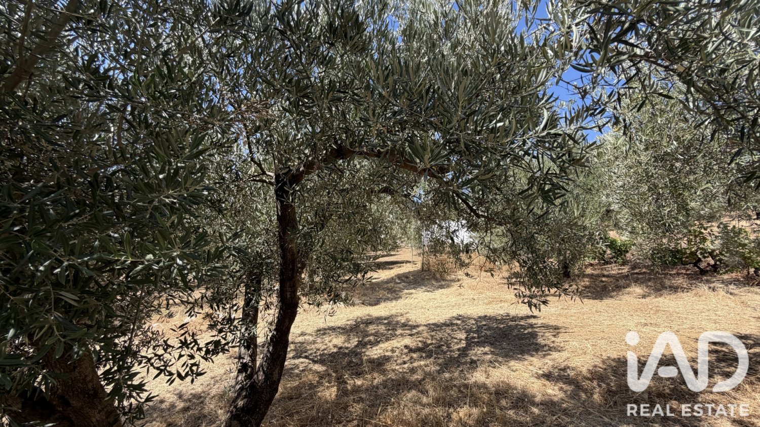 Māja Riogordo, Malaga, Spānijā 2 istabas, 81 m2 Nr. 197754