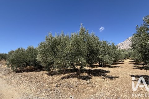Māja Riogordo, Malaga, Spānijā 2 istabas, 81 m2 Nr. 197754