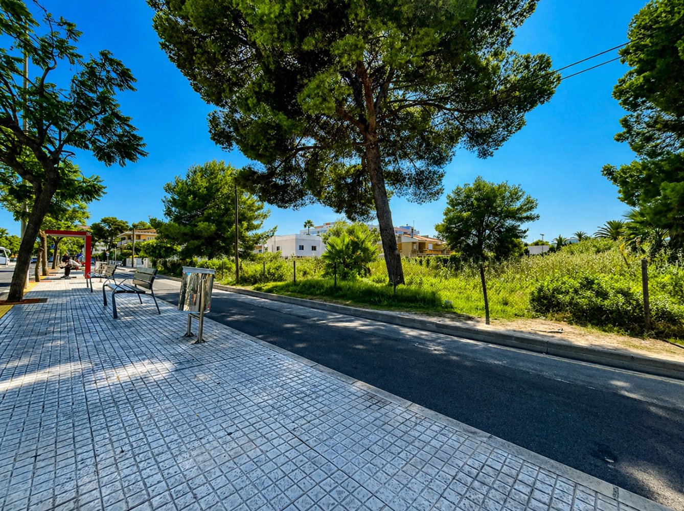 Land in Mallorca, Spanien Nr. 198238