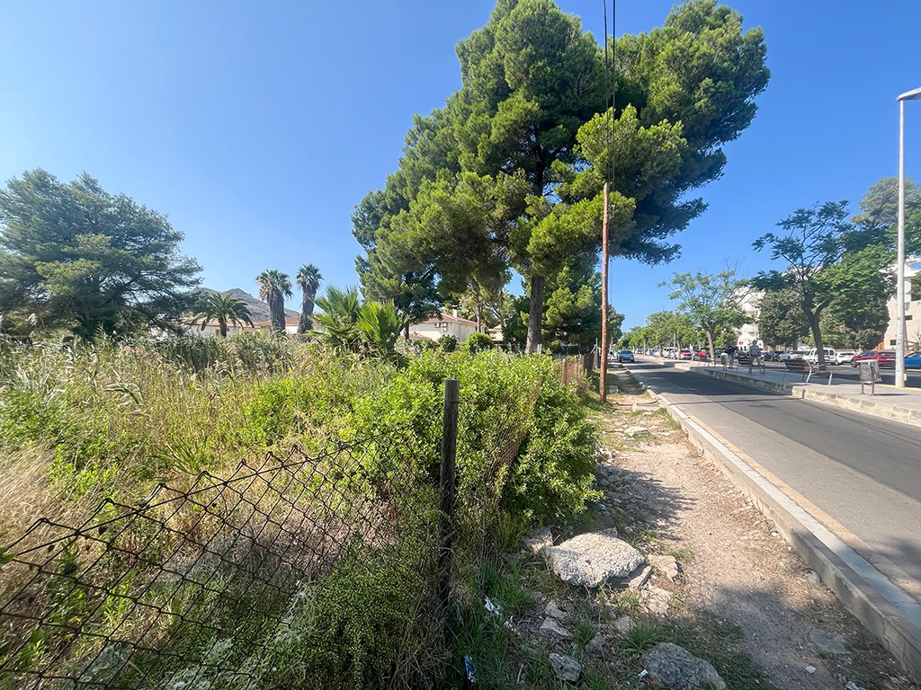 Land in Mallorca, Spanien Nr. 198238
