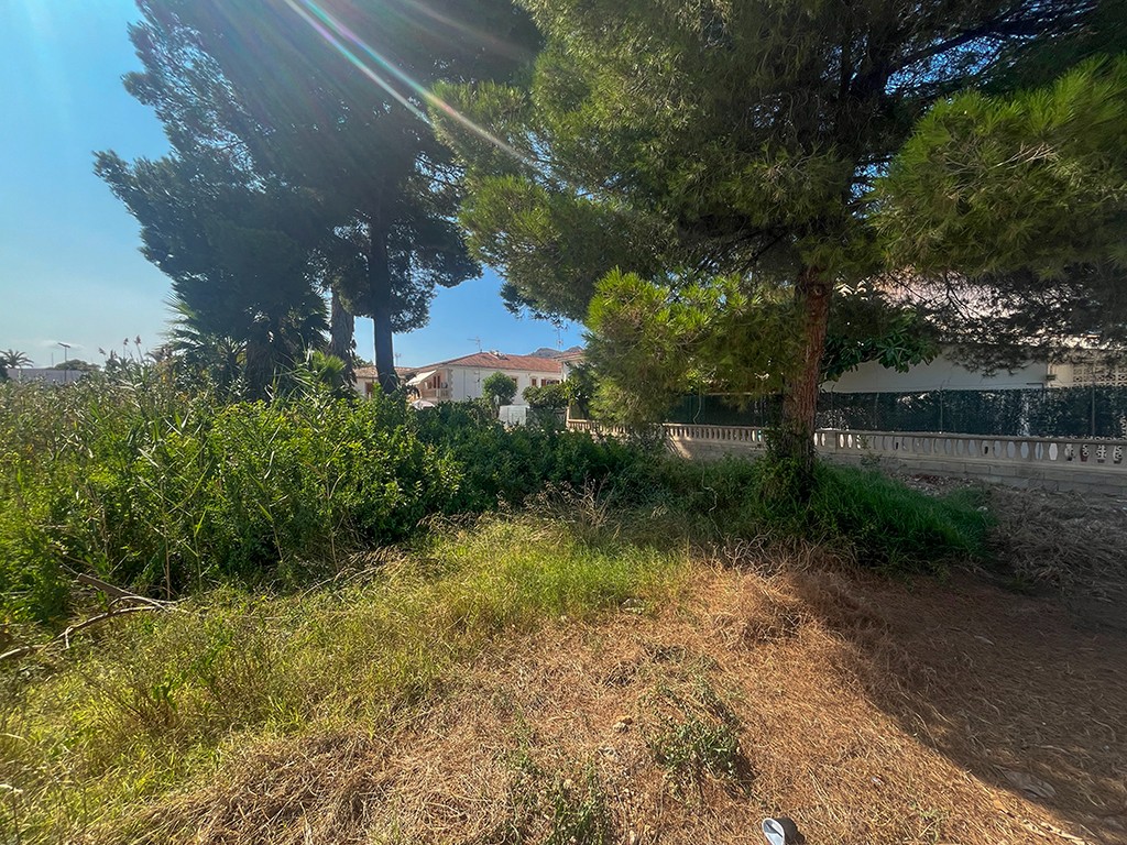 Land in Mallorca, Spanien Nr. 198238