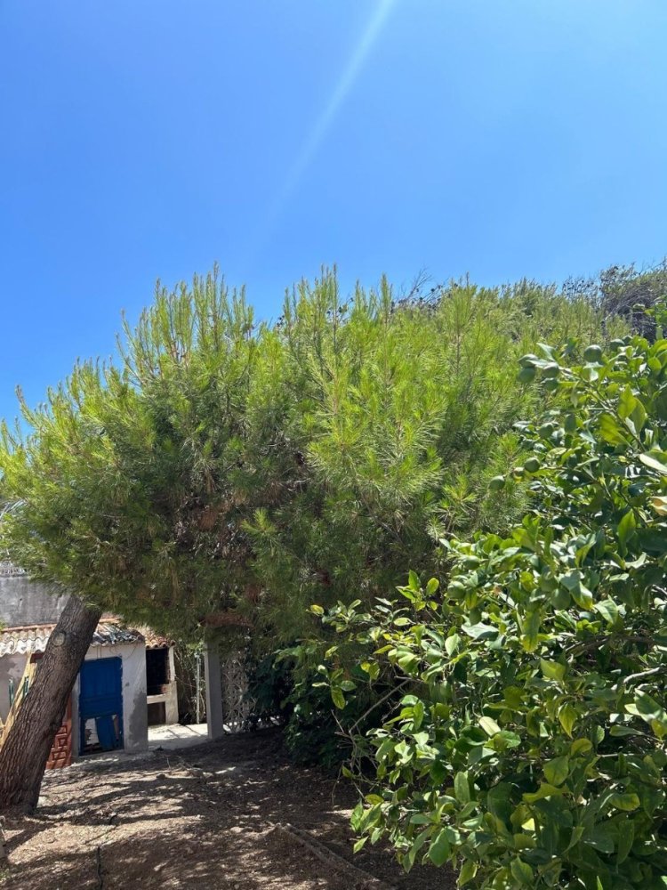 Villa a Denia, Alicante, Spagna 5 camere da letto, 146 mq. N° 198209