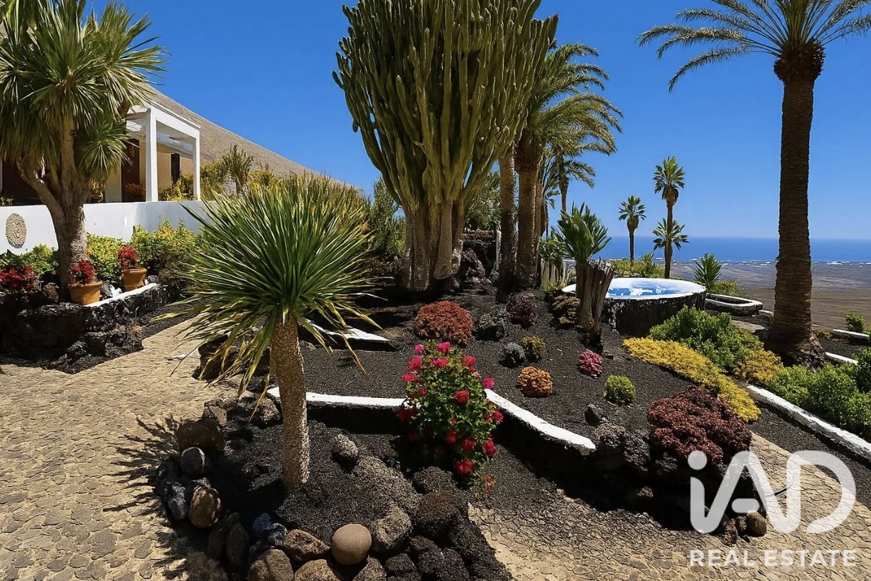 House in Tias, Lanzarote, Spain 9 bedrooms, 760 sq.m. No. 199581