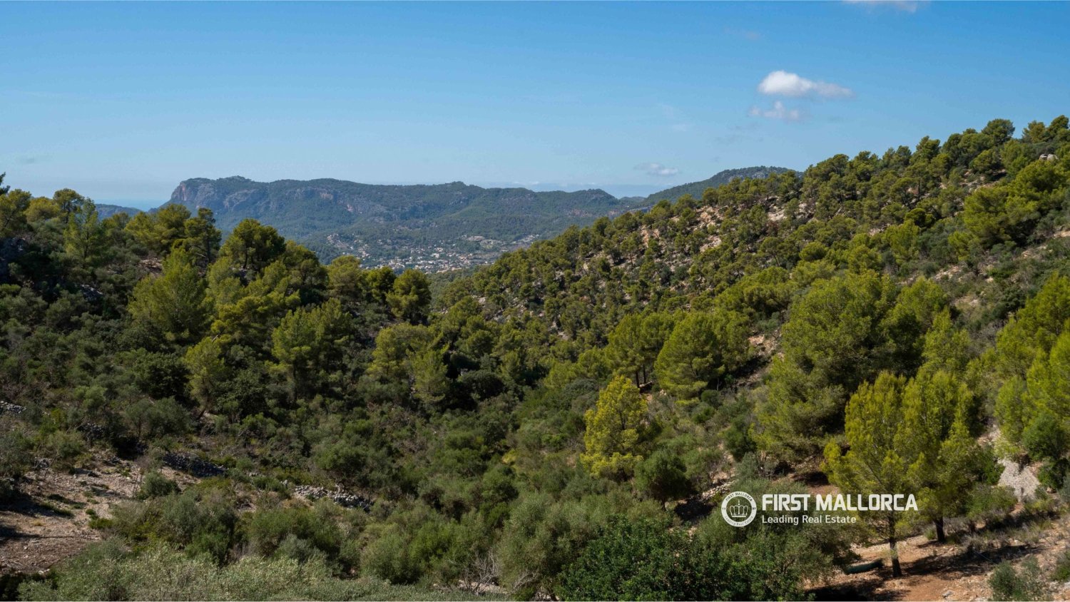 Finca a Calvia, Mallorca, Spagna 3 camere da letto, 279 mq. N° 198527