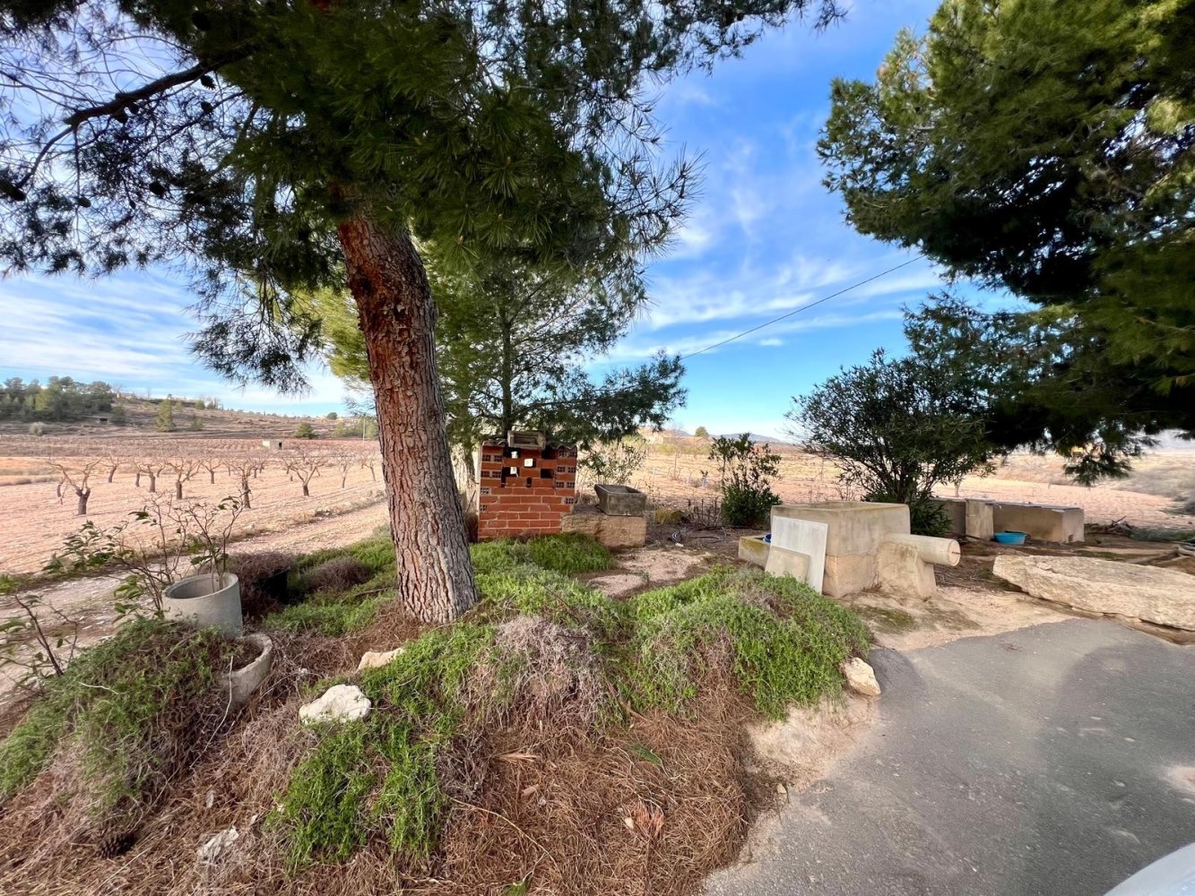 Finca Monovar, Alicante, Espanja 4 makuuhuonetta, 870 m2 No. 198961