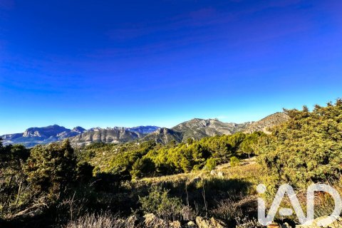 Land plot à Tarbena, Alicante, Espagne 12058 m2 No. 185499