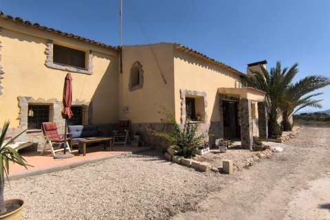 Huvila Chinorlet, Alicante, Espanja 4 makuuhuonetta, 250 m2 No. 197247