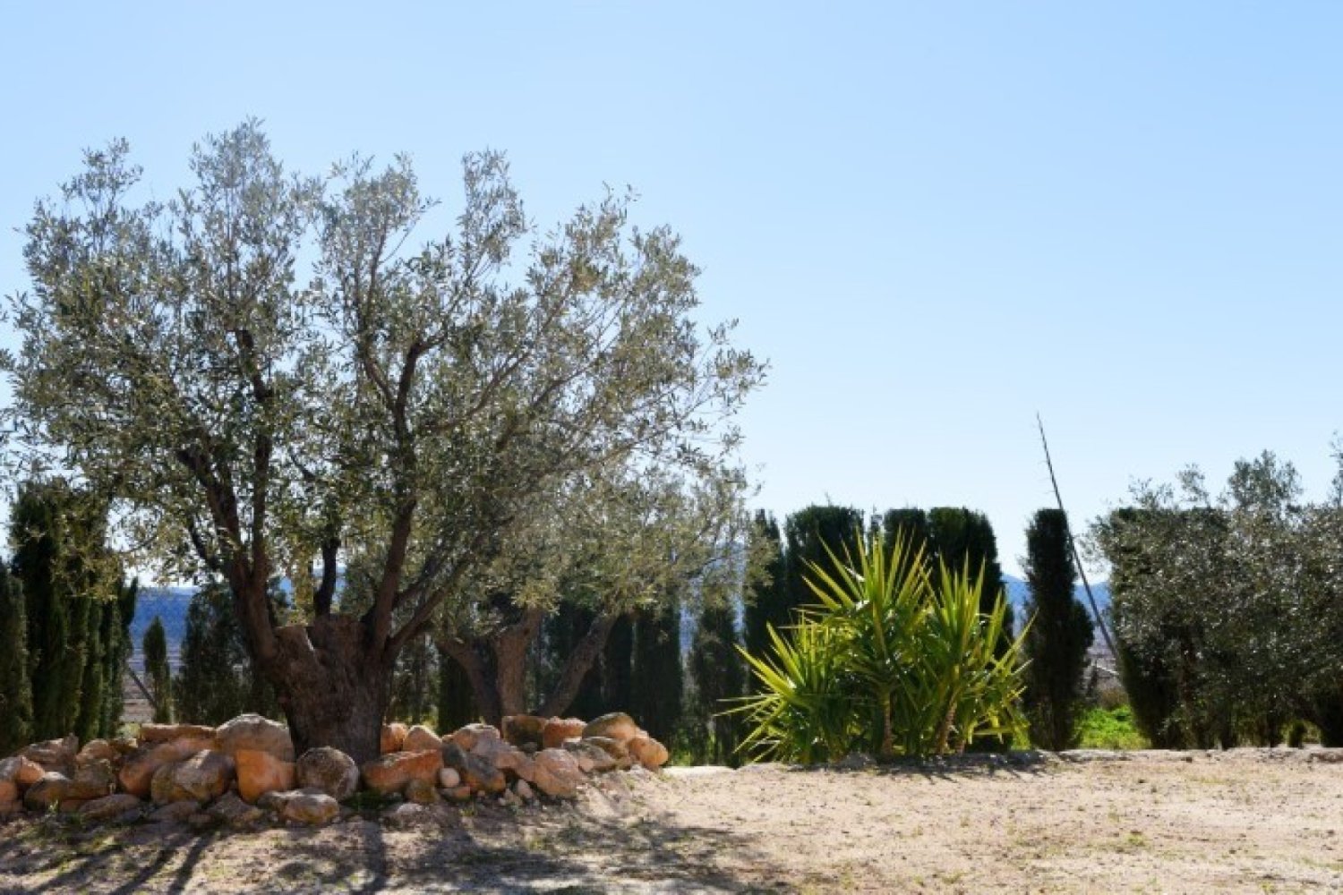 Huvila Pinoso, Alicante, Espanja 4 makuuhuonetta,  No. 186892