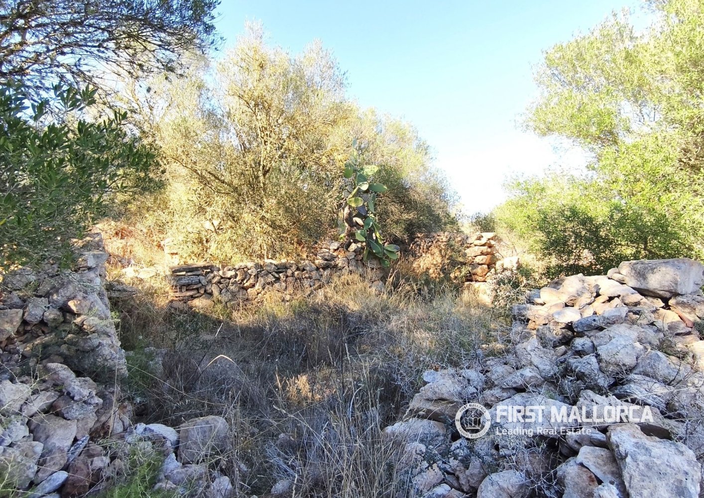Land plot à Llucmajor, Mallorca, Espagne 3 chambres, 43827 m2 No. 199903