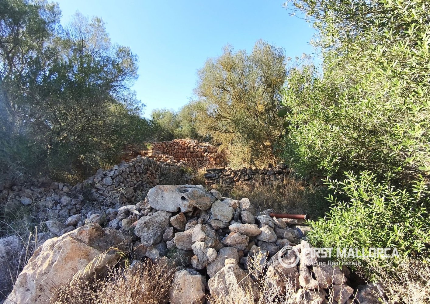 Land plot à Llucmajor, Mallorca, Espagne 3 chambres, 43827 m2 No. 199903