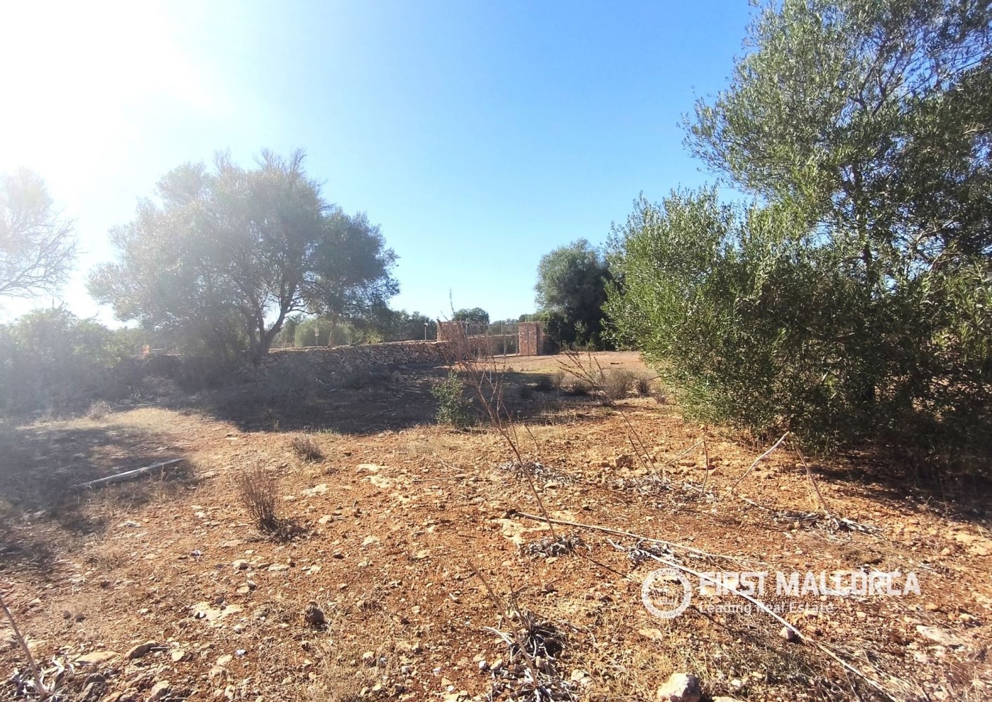 Land plot à Llucmajor, Mallorca, Espagne 3 chambres, 43827 m2 No. 199903