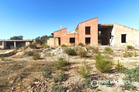 Land plot à Llucmajor, Mallorca, Espagne 3 chambres, 43827 m2 No. 199903