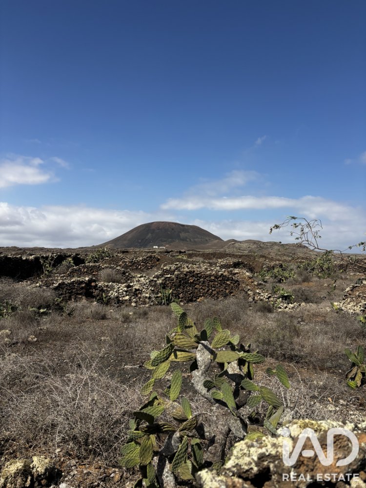 Land plot in La Oliva, Fuerteventura, Spain 4000 sq.m. No. 199517