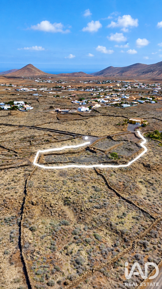 Land plot in La Oliva, Fuerteventura, Spain 4000 sq.m. No. 199517