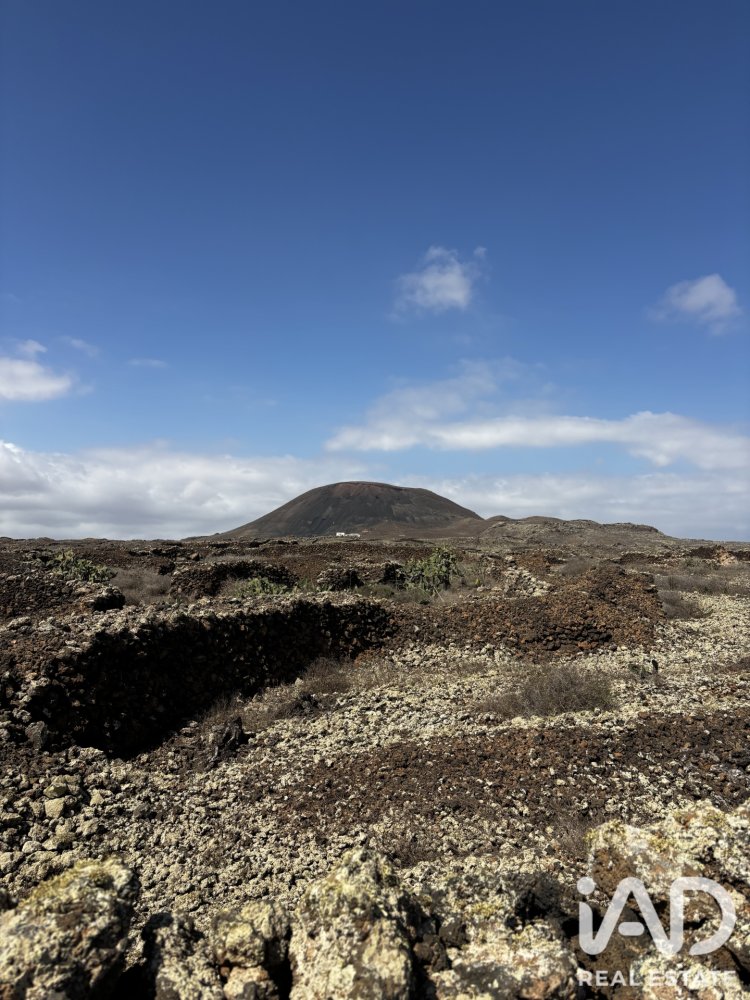 Land plot in La Oliva, Fuerteventura, Spain 4000 sq.m. No. 199517